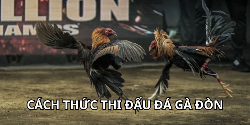 Cách thức thi đấu