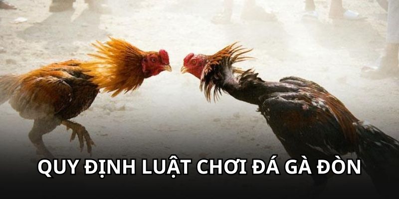 Quy định chi tiết về luật chơi đá gà đòn